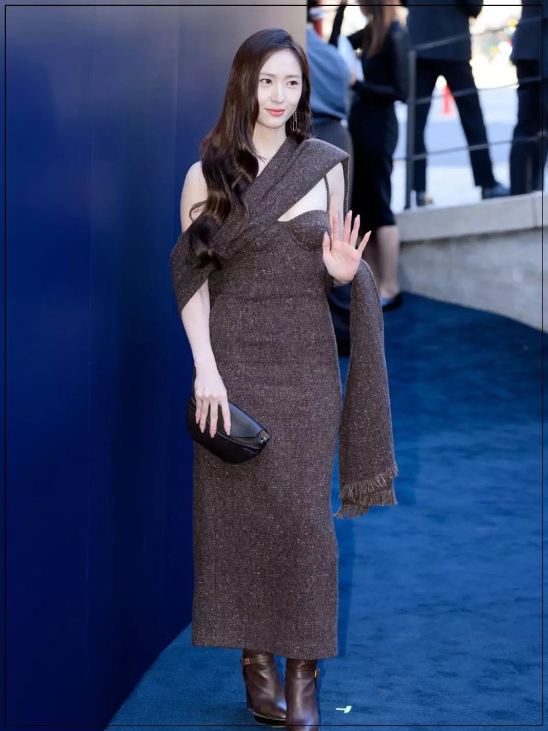 정수정, 얌전한 브라운인 줄 알았는데…가까이 보니 드레스가 달랐다