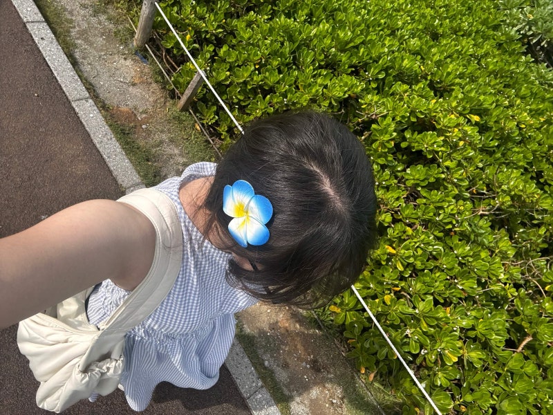 나홀로 해외여행 오키나와편
