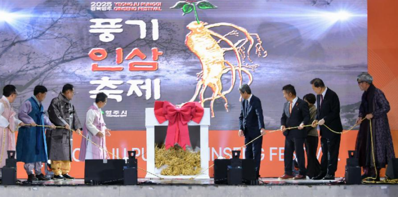 10월 경북 가볼만한곳, 2026 영주 풍기인삼축제 주차·먹거리·볼거리 총정리