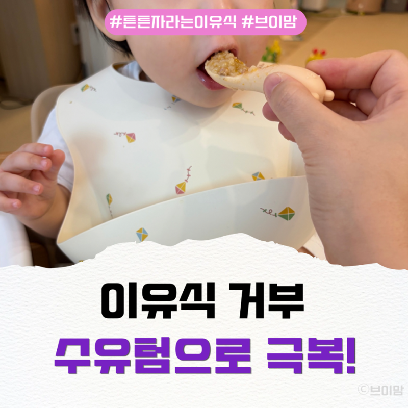 10개월 이유식 거부 해결법! 수유 텀 조절과 소아과 가이드라인 실제 성공 후기
