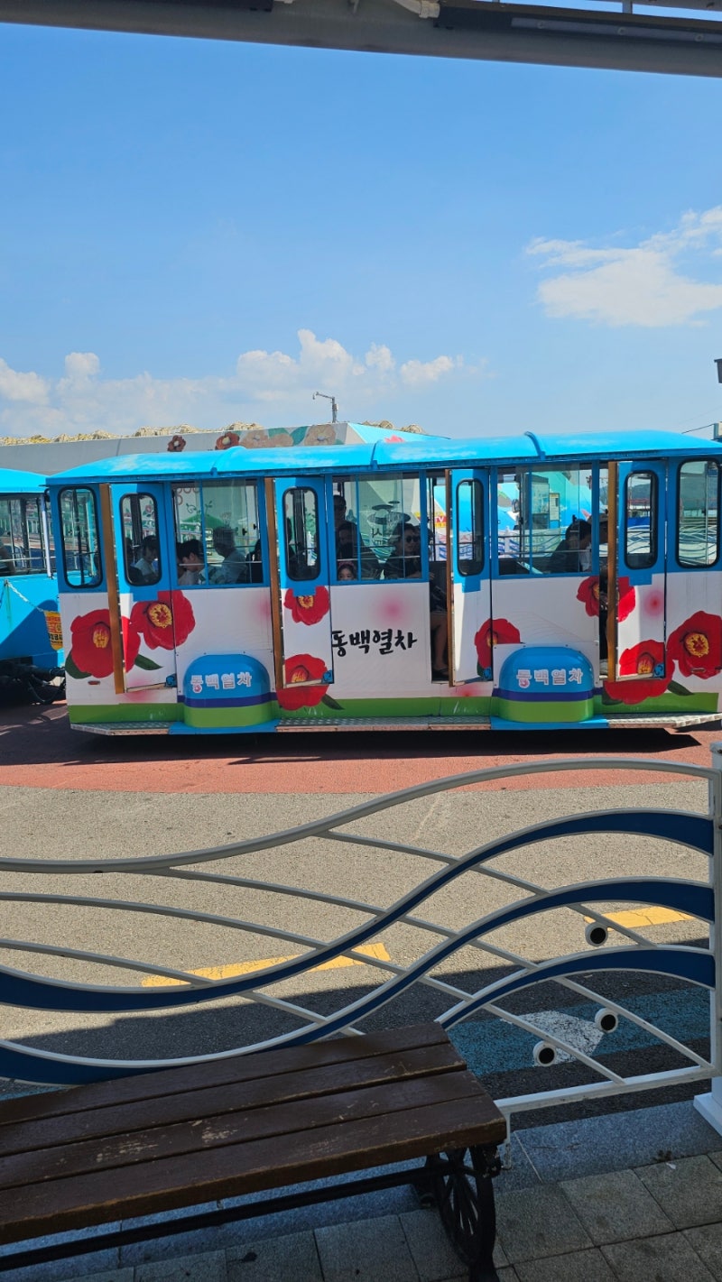 [여수여행 첫째날2] 여수오동도 오동도동백열차 여수여행 가볼만한곳 여수오동도주차장 여....
