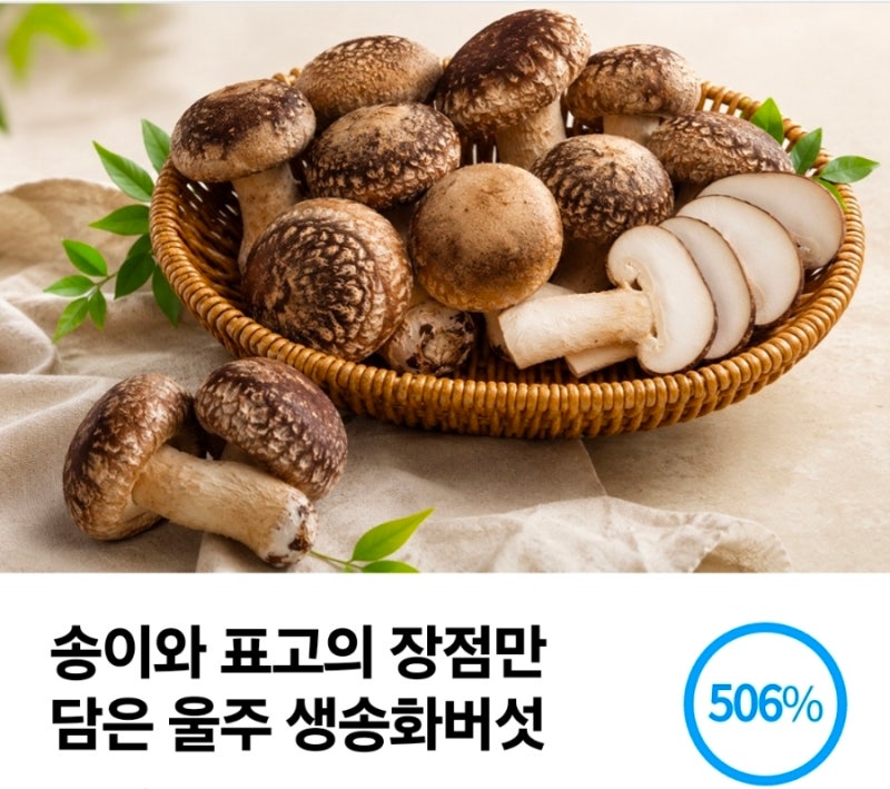 송화 버섯 먹는 방법, 효능 및 보관법