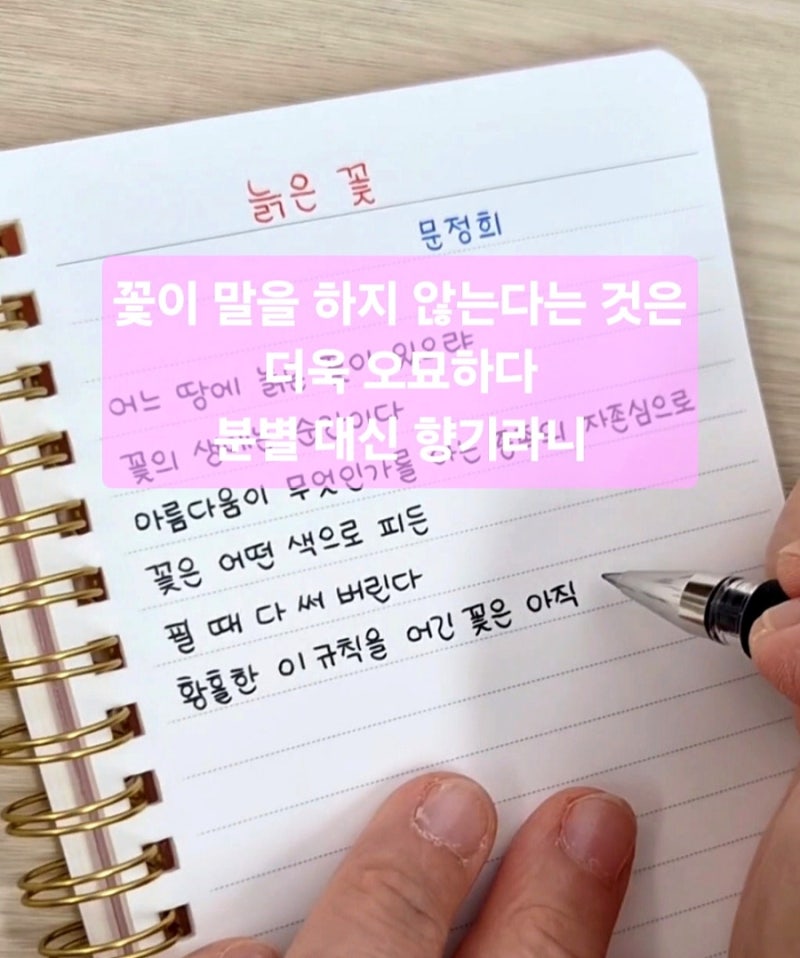 문정희 시 「늙은 꽃」 오늘의 시필사