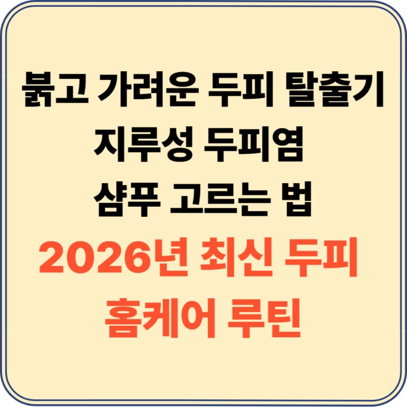 2026 지루성 두피염 샴푸 추천 및 치료 원인 완벽 가이드: 탈모 예방까지 잡는 홈케어 루틴