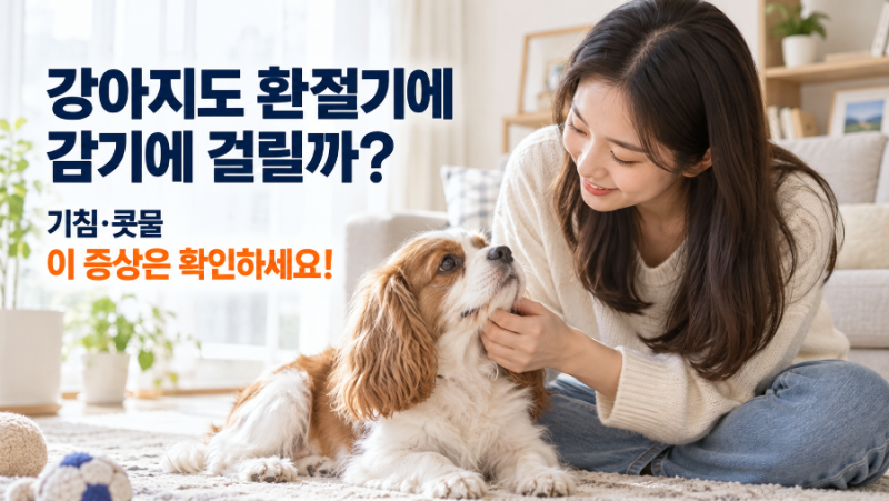 강아지도 환절기에 감기에 걸릴까? 기침과 콧물 증상 확인법