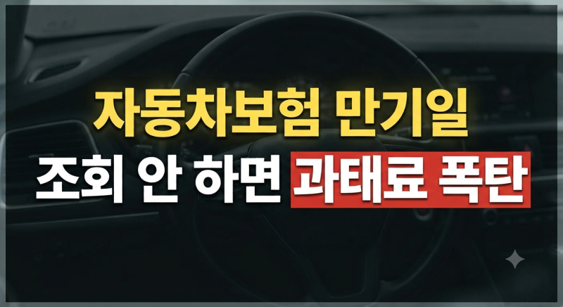 자동차 보험 만기일 확인 조회 방법 및 가입 총정리(+과태료)