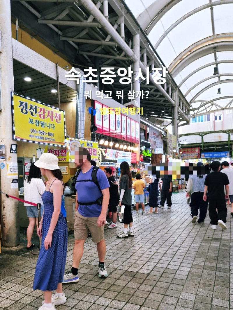속초 중앙시장 먹거리 주차 직접 가본 생생한 후기 속초관광수산시장