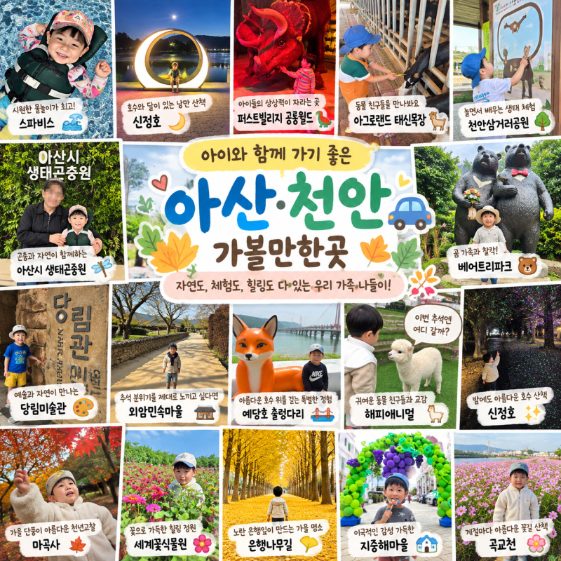 2026 추석 연휴 충남·아산 어디 갈까? 아이와 가볼 만한 곳 16곳 실내·야외 총정리