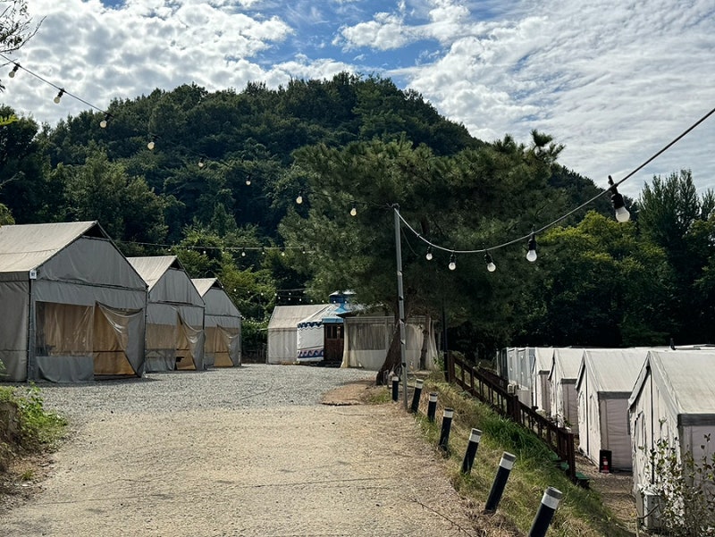 풍세 에스글램핑 : 천안 터미널에서 20분 거리, 글램핑 A8