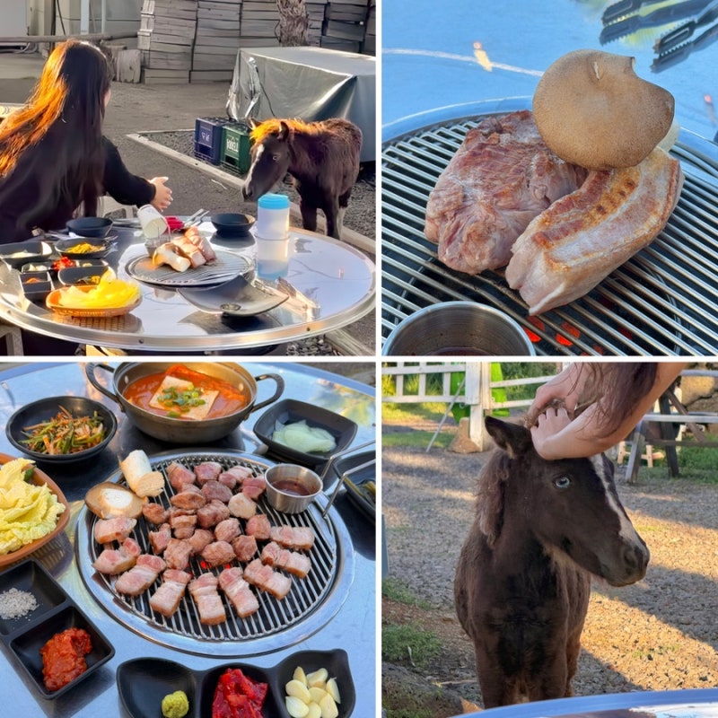 [제주도 서귀포 맛집] 조랑말이 있는 야외 흑돼지 이색 맛집 주차/애견동반/제주....