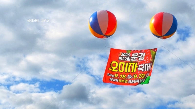 [문경] 가을 축제 추천  문경오미자축제 개막식 (윤윤서, 자두, 손태진) | 오미자 효능·부작용....