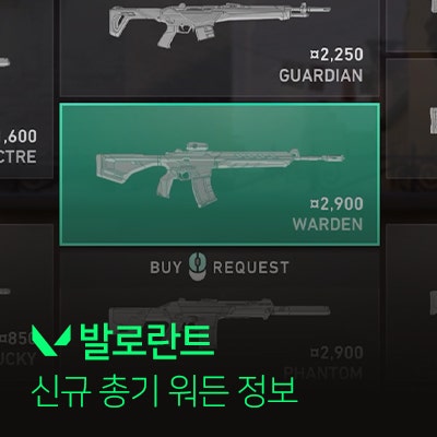 발로란트 신규 총기 '워든' 관련 정보 알아보기