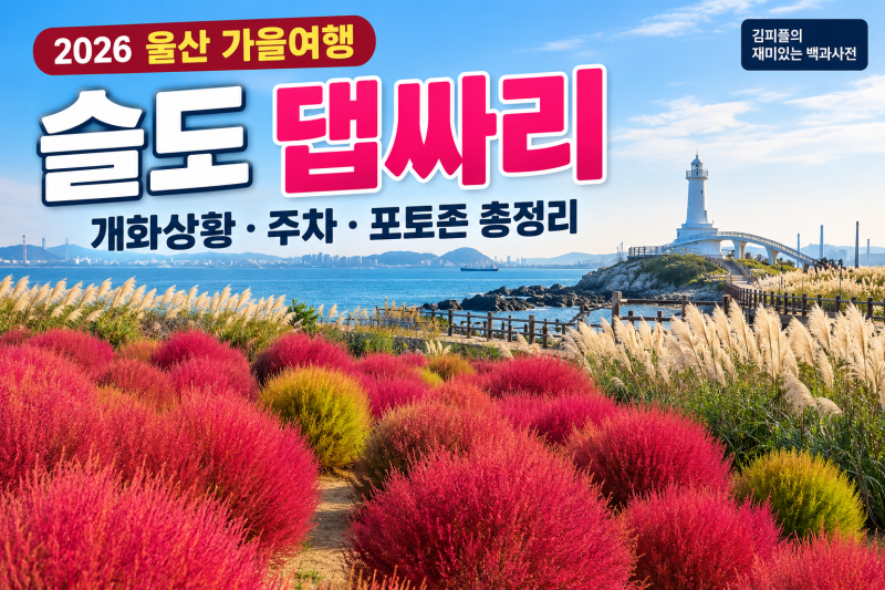 울산 슬도 댑싸리 2026, 지금 얼마나 물들었을까? 9월 개화상황·주차·포토존 총정리