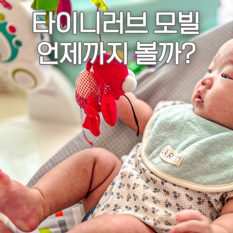 신생아모빌 시기 언제부터? 아기 흑백 컬러모빌 비교 (국민 타이니모빌 활용법)