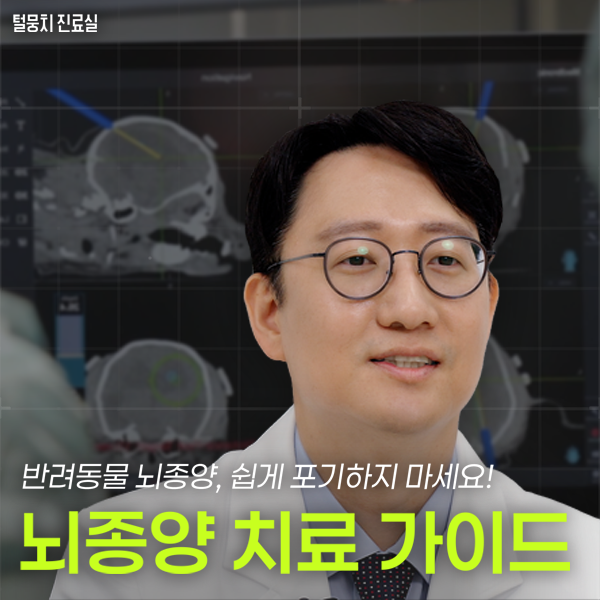 강아지 뇌종양, 고양이 뇌종양 증상과 종류, 수술적 치료 수원뇌종양수술동물병원