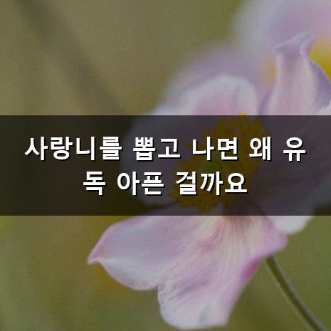 사랑니 발치 통증 왜 이렇게 오래 아플까? 욱신거리는 며칠간의 기록과 관리법