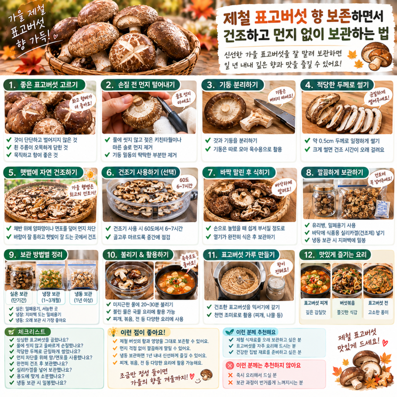 제철 표고버섯 향 보존하면서 건조하고 먼지 없이 보관하는 법