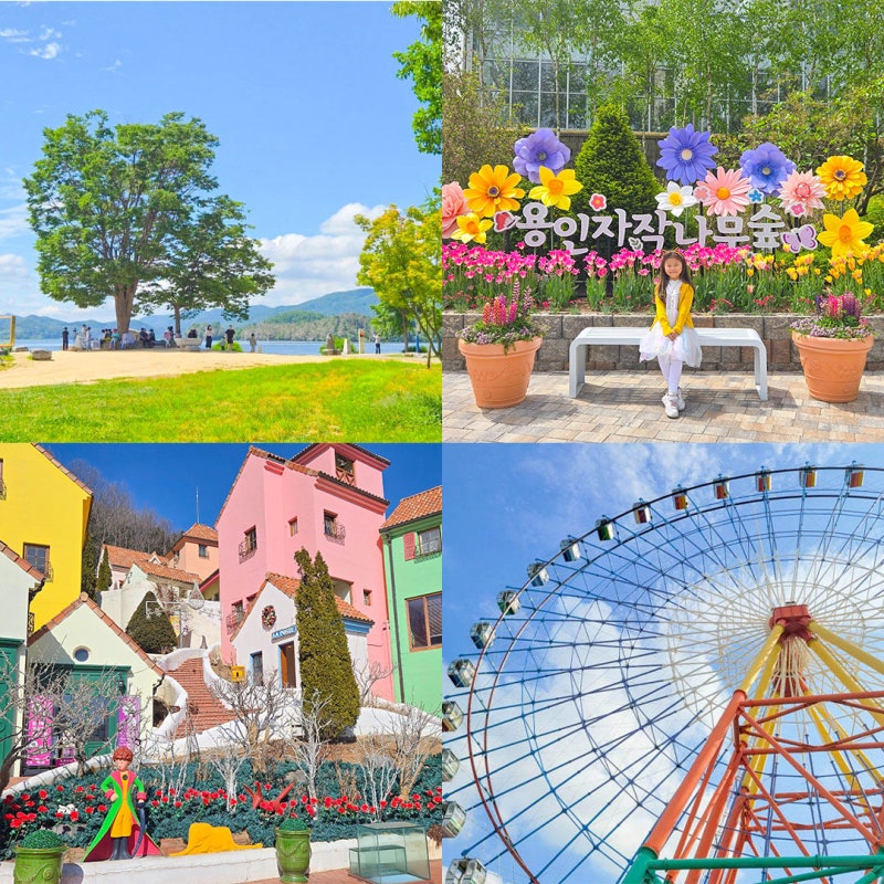 Top 5 Day Trip Destinations Near Seoul in Gyeonggi-do