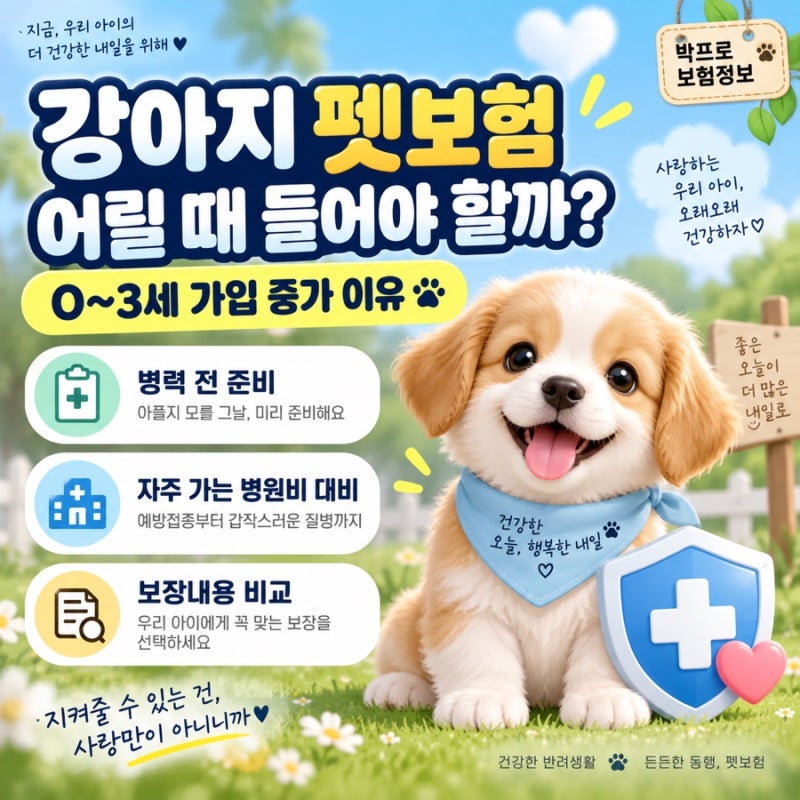 강아지 펫보험, 어릴 때 들어야 할까? 0~3세 가입이 늘어난 이유
