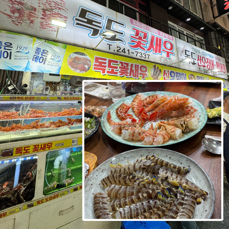 독도꽃새우 / 처음으로 먹어본 독도새우 내돈내산 남포술집 후기