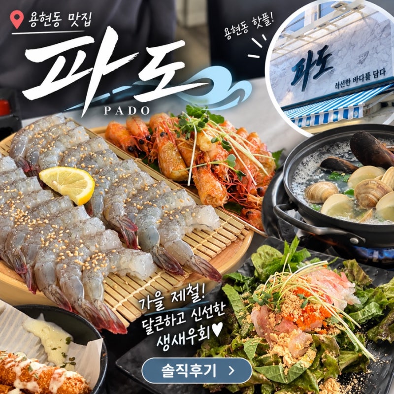 인천 용현동 맛집 파도 | 가을 제철 신선한 생새우회와 가성비 세트 솔직후기
