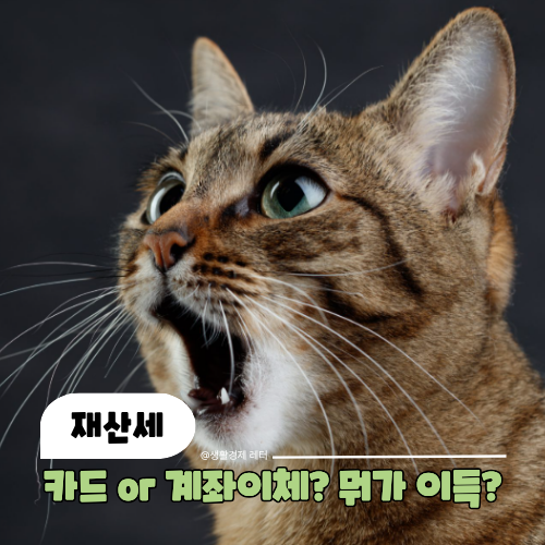 "9월 재산세 그냥 내지 마세요" 2026 납부기간·조회부터 카드 무이자 할부·캐시백 혜택까지