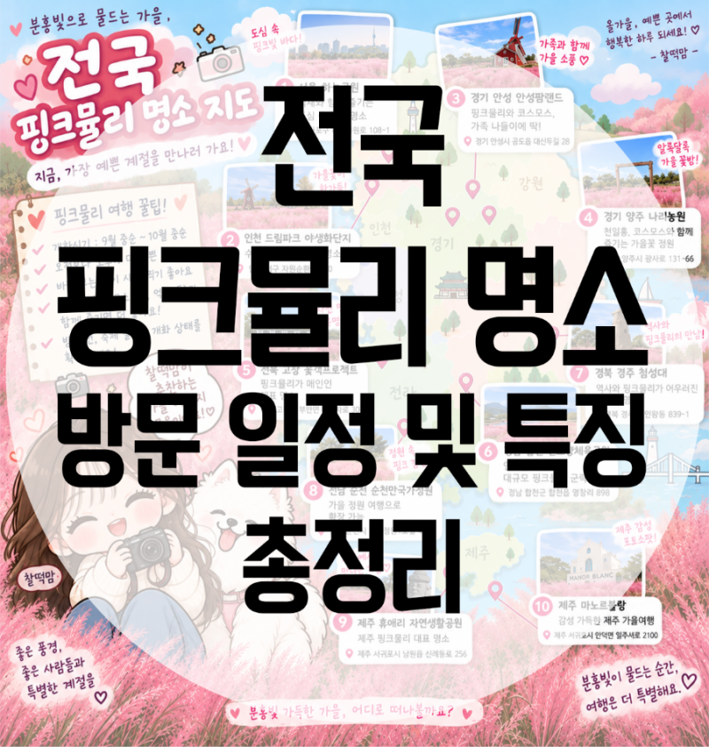 2026 전국 핑크뮬리 명소 추천, 9월 10월 개화시기 총정리