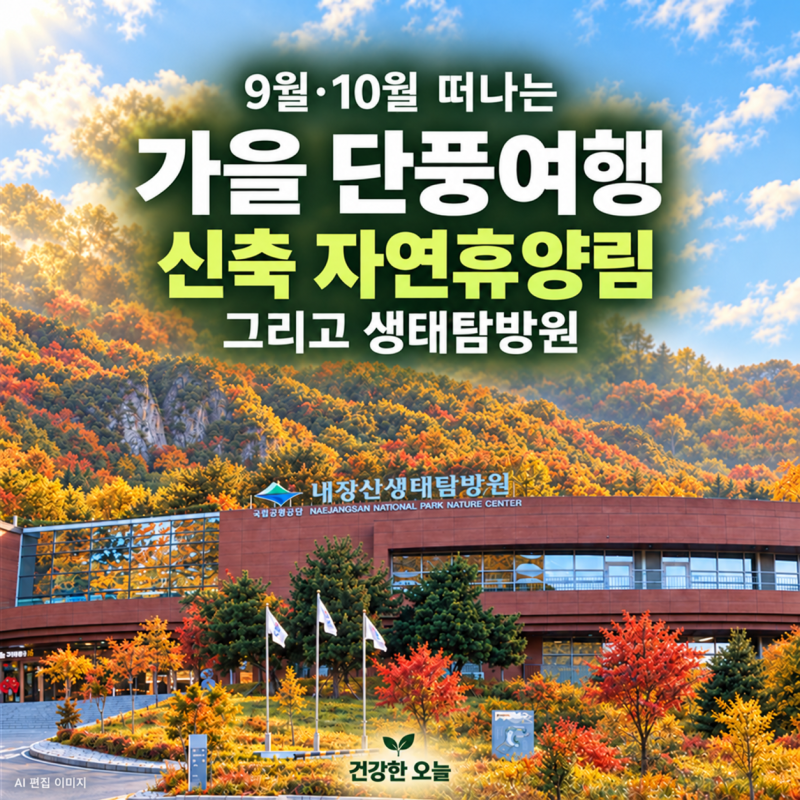 가을 단풍 여행 미리 준비! 9~10월 예약하기 좋은 힐링 자연휴양림 4곳,휴양림 필수준비물 체....