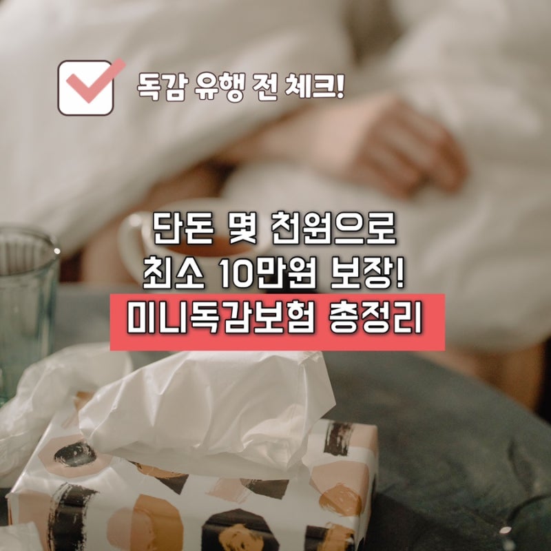 미니독감보험 가입링크 총정리｜19세 이상 성인 다이렉트 독감보험