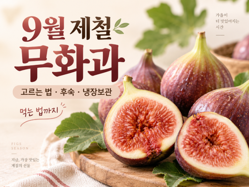 9월 제철 무화과 어떻게 고를까?｜후숙·냉장보관·먹는 법