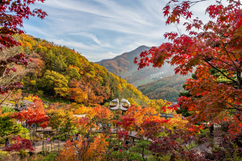 곤지암 화담숲 모노레일 코스 시간 구간 가격 유모차 탑승 정보