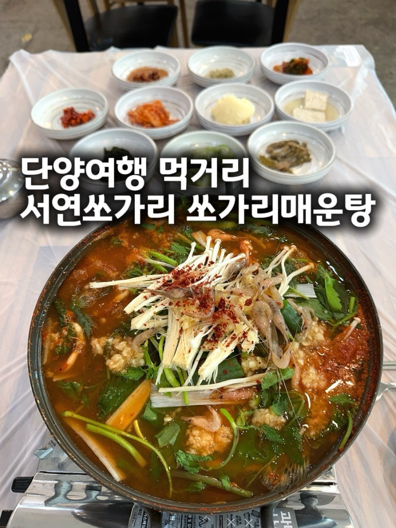 단양여행 단양 매운탕 맛집 서연쏘가리에서 맛본 쏘가리매운탕 ft 단양먹거리