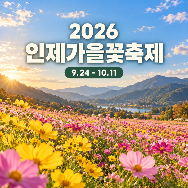 2026 인제가을꽃축제 일정·용대관광지·시티투어·주차 총정리