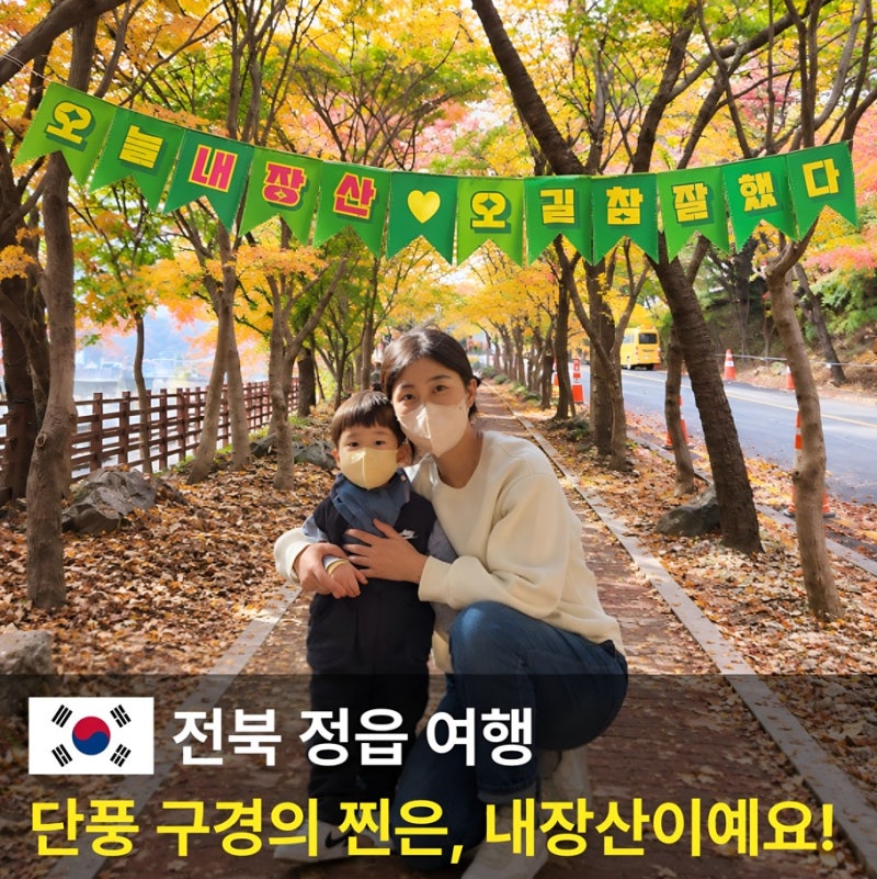 2026 내장산 단풍 절정 시기는? 코스 케이블카 주차 총정리