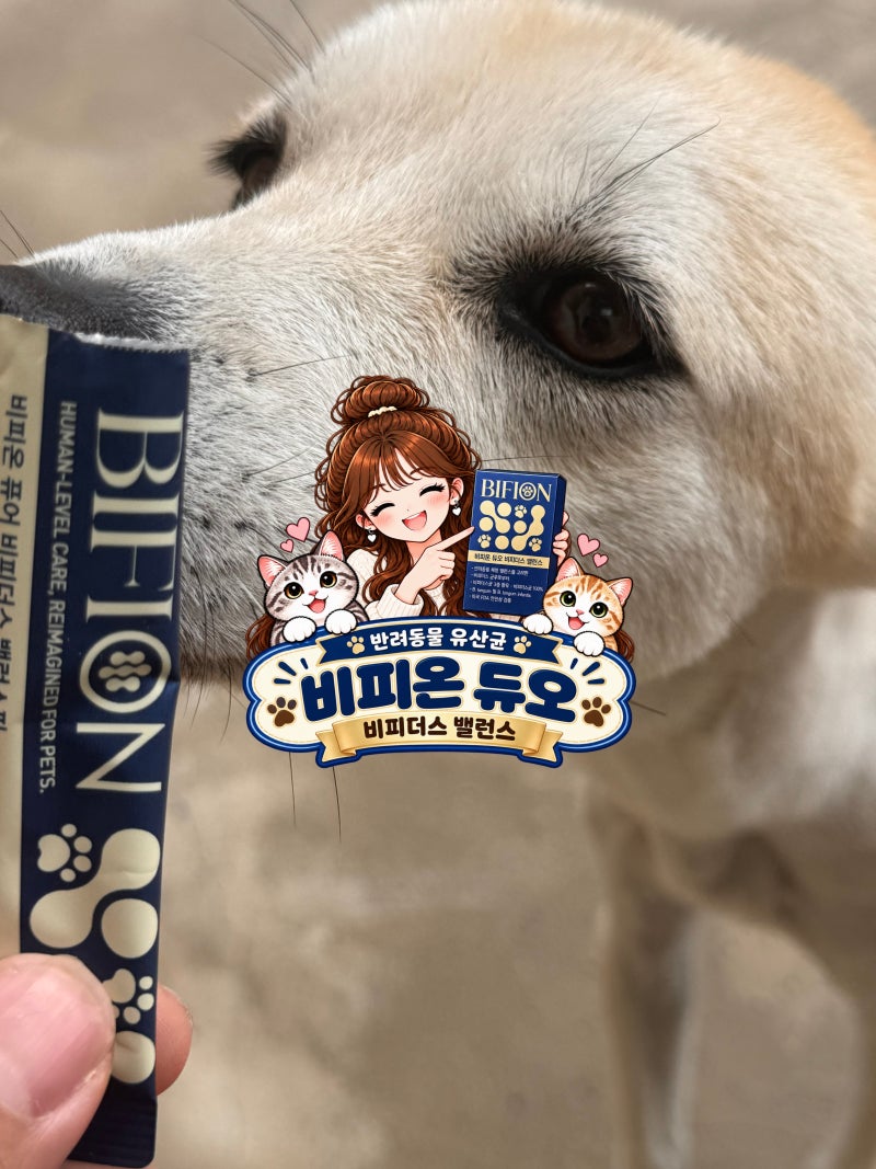 강아지 비피더스 100% 다이어트 유산균 비피온｜체중관리 시작해 봤어요