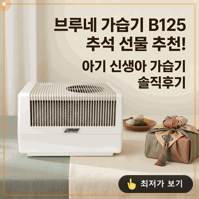 브루네 가습기 B125 추석 선물 추천! 아기 신생아 가습기 솔직후기