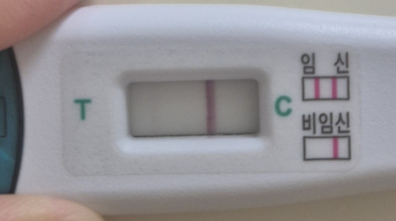 [임신일기] 배란 9일차부터 첫 초음파까지 | 얼리 임신테스트기(동아제약 굿뉴스, 원포 얼리),....