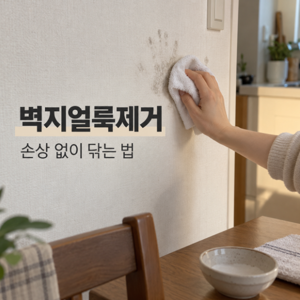 벽지얼룩제거 실크벽지 세제 락스 손상 없이 닦는 순서