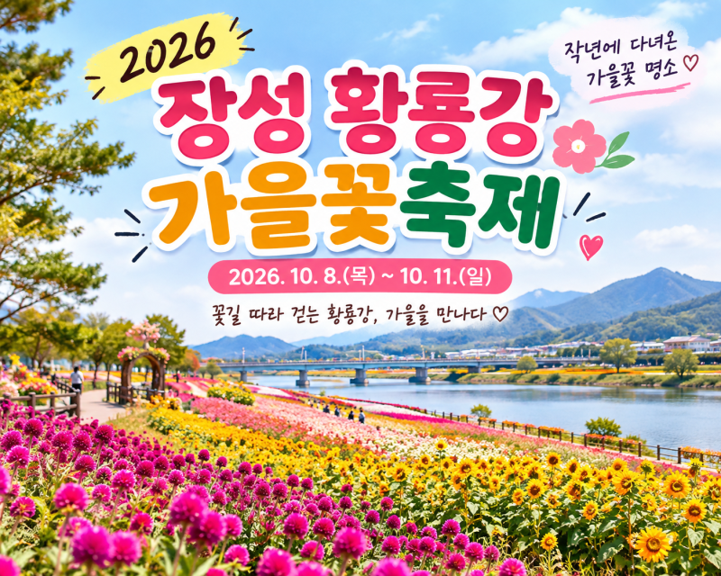 장성 황룡강 가을꽃축제 2026 일정｜작년에 다녀온 장성 가을꽃 명소