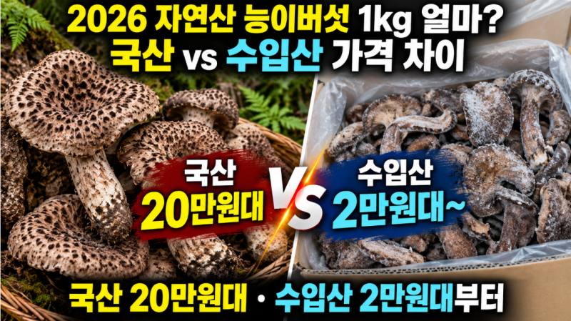 능이버섯 가격｜자연산 1kg 얼마? 국산·수입산 차이
