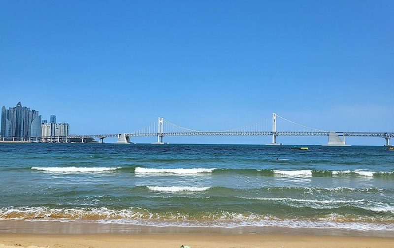 인천발 KTX 2026년 개통! 송도역에서 부산 2시간30분·목포 2시간10분