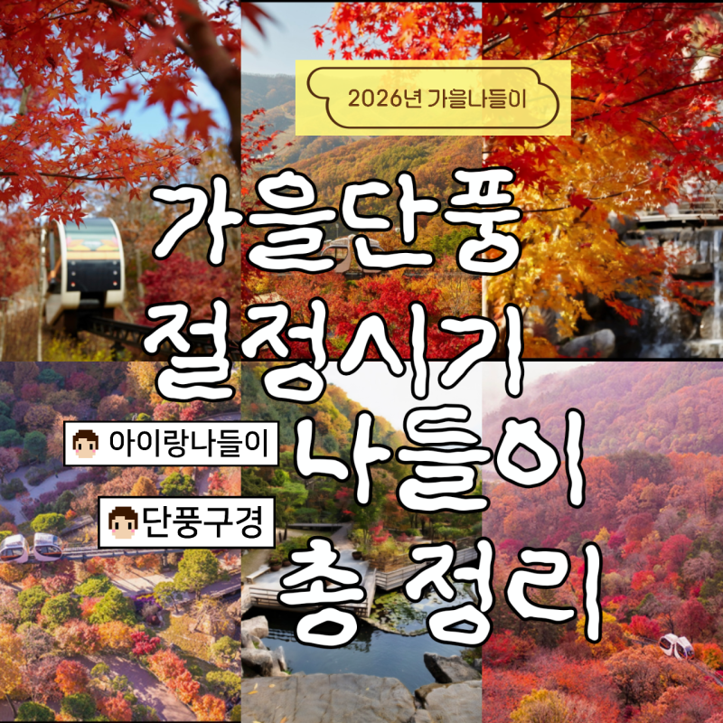 2026 단풍 절정기 총정리 초등 아이랑 사진 찍고 뛰어놀기 좋은 가을 스팟 BEST 7