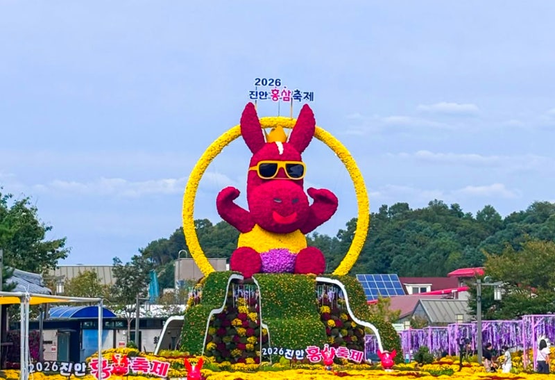 부모님 모시고 꼭 가야 할 2026 진안홍삼축제 가수 이찬원 장민호 보고 셔틀버스로 편하게 다....