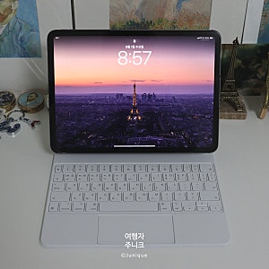 애플 아이패드 프로 11 매직 키보드