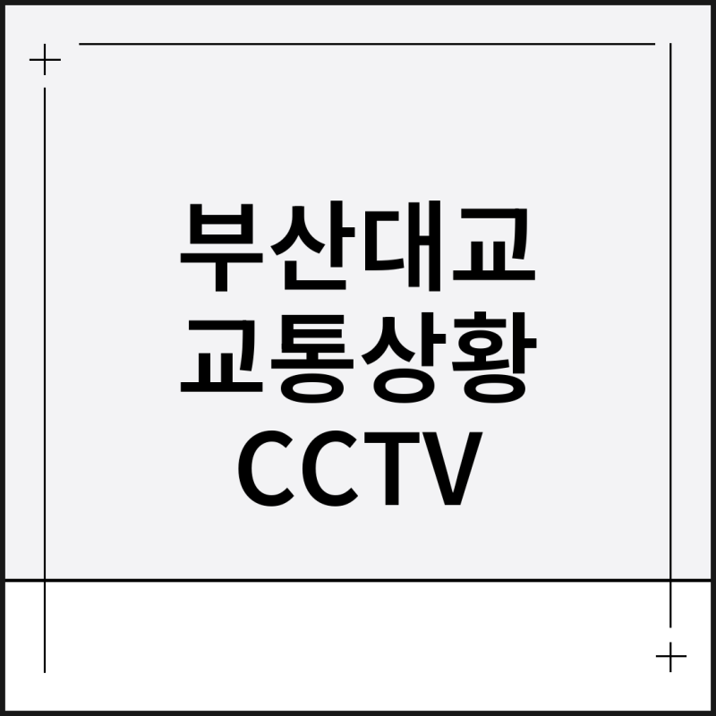 부산대교 실시간 교통상황 CCTV 사고통제 확인방법