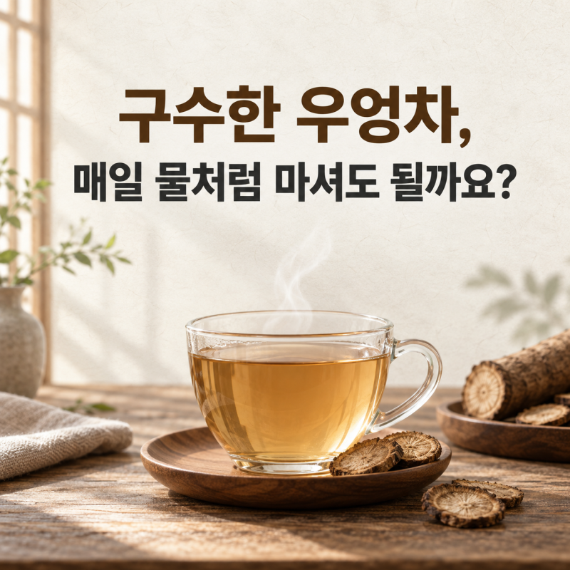 우엉차 효능, 일반인과 임산부 우엉차 득과 실