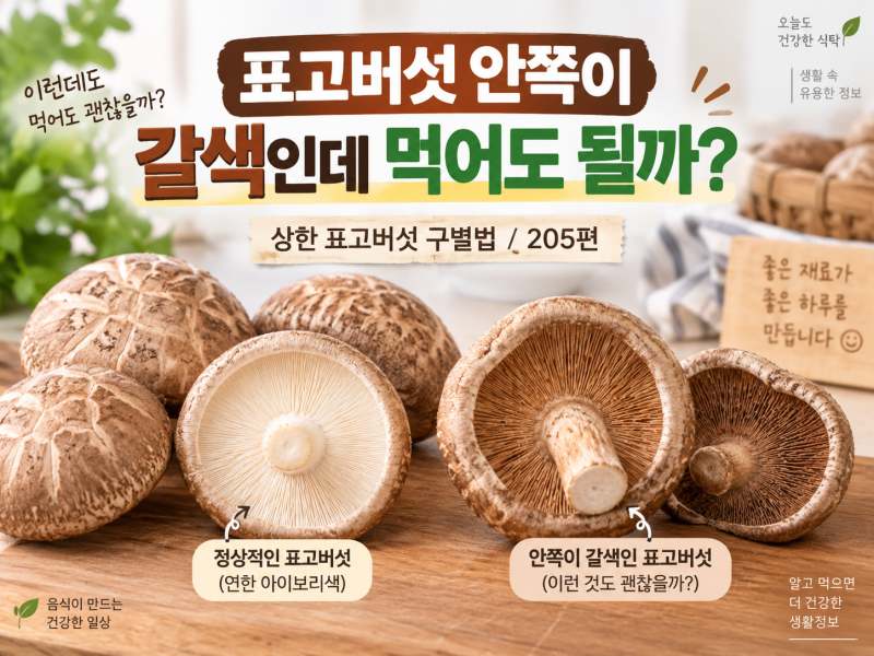 표고버섯 안쪽이 갈색으로 변했는데 먹어도 될까? 상한 표고버섯 구별법 / 205편