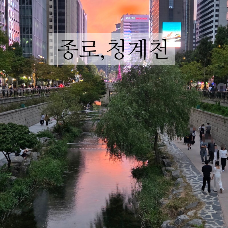 서울 종로가볼만한곳 청계천 야간 나들이