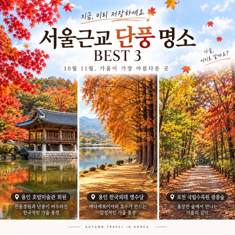 서울근교 단풍 명소 3곳 호암미술관 명수당 국립수목원 가을여행