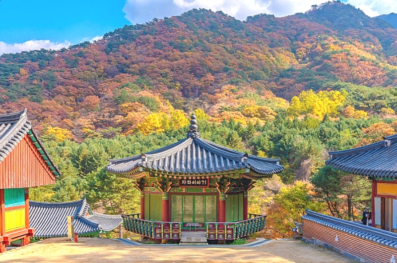 2026 치악산 구룡사 계곡 단풍시기 언제 방문해야 가장 예쁠까?